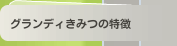 グランディきみつの特徴